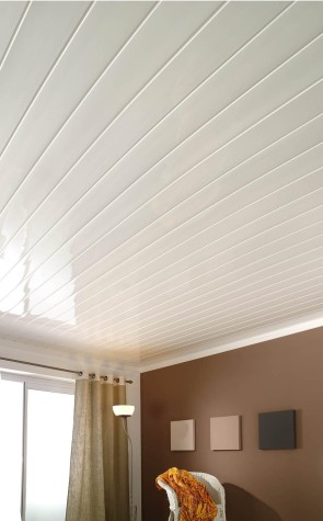 TECHO PVC BLANCO EN 8 MM